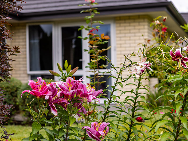 Villa Flowers