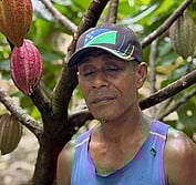 Solomon cacao farmer