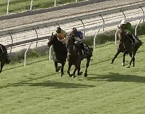 Le Chocolat Set to Return After Strong Second Trial