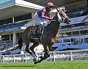 Explosive family continues to produce for Muollo