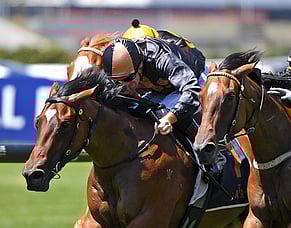 Liguria adds another chapter to family story