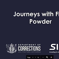 Journeys with floo powder