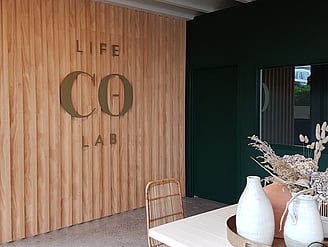 Life Co-Lab - BRAND STRATEGY, BRAND IDENTITY DESIGNROCKETSPARK WEBSITE CONTENT, DESIGN + BUILD