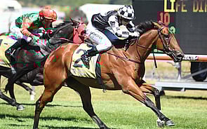 Unlikely Career Move