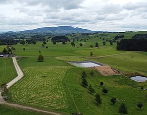 Picturesque, Presentable &amp; Profitable Opportunity for a Contract Milking Team - 510 cows