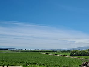 Case Study 2 - Lower Aparima Catchment GroupDairy Low land flats