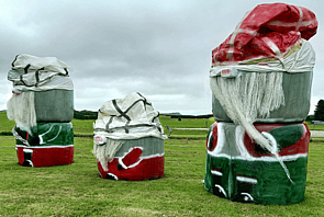 DairyNZ Second place - "Gnome' for Christmas" Bristol Grove Dairies Ltd