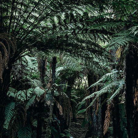 Worldwise Immigration & Travel