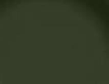 Olive (Resene Waiouru)