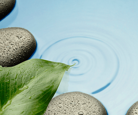 Managing Stress & Anxiety - Does stress or anxiety sap your time and energy? Do you have repetitive worrying thoughts, trouble relaxing or sleeping? This course will help you understand your stress triggers and give you simple practical tools and techniques to help you manage and overcome some of life's stresses. Live happier and freer.