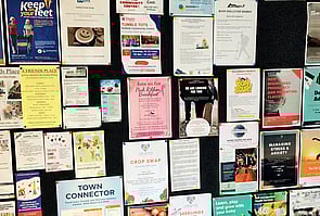 Information & Services