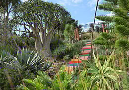 Whanganui Gardens | Smith House Whanganui