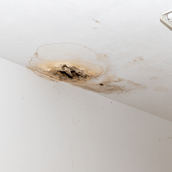 Water damage from a roof leak to a Bay of Plenty home