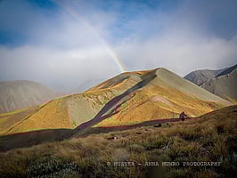 Shepherd and dogs under rainbow. Autumn Muster.  Lake Heron Station, Canterbury High Country, New Zealand