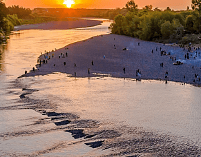Waitangi Day - a day to reflect