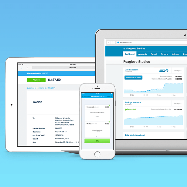 Xero Training Northland
