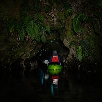 Amazing vibrant nature as Kayak enters Glow Worm Cave