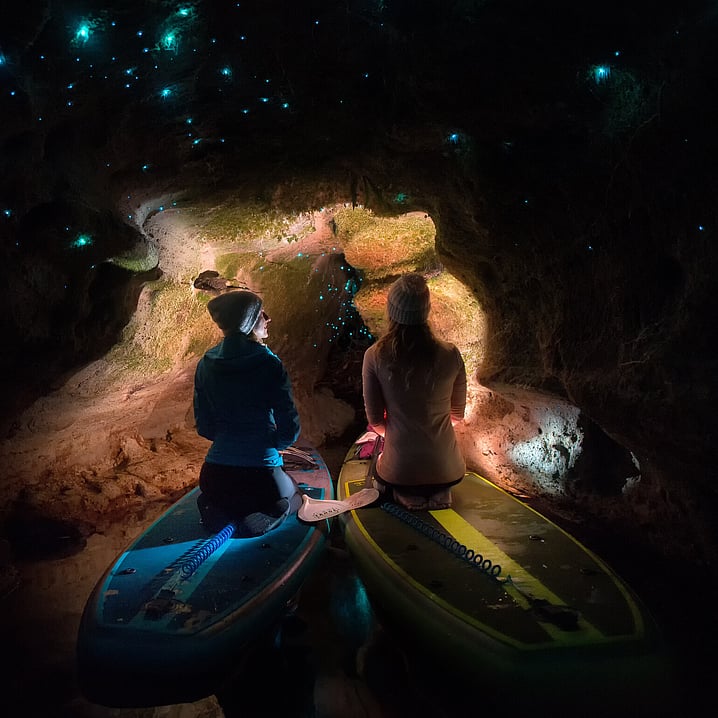 Paddle Board Rotorua Glow Worm Cave SUP