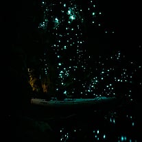 Kayak inside a glow worm cave