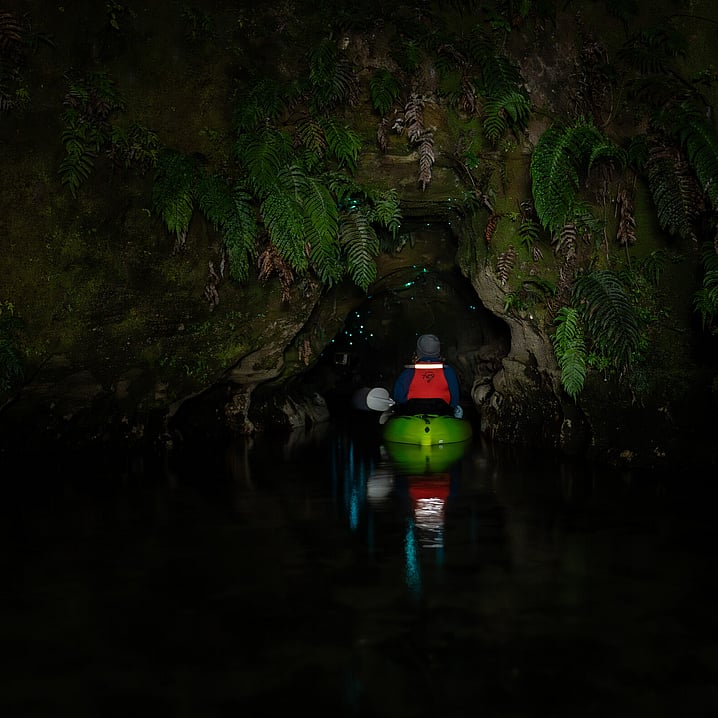 Amazing vibrant nature as Kayak enters Glow Worm Cave