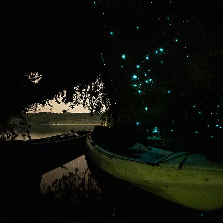 kayak sitting inside a glow worm cave looking out to the lake with dusk falling