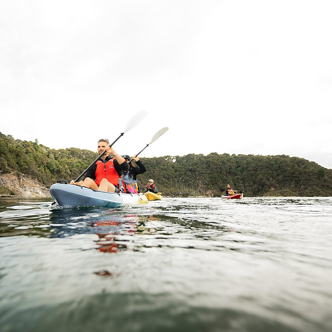 Kayaking action shot steaming cliffs and rotorua geyser tour
