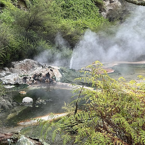 Small Geyser viewed in Waimangu Volcanic Valley