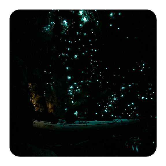 Glow Worm caves, couple in kayak in cave admiring galaxy of glow worms
