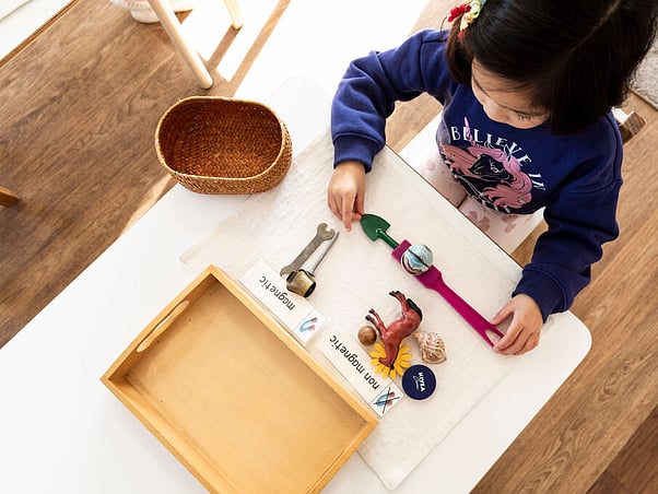 Montessori Learning &ndash; sensorial focus, North Shore