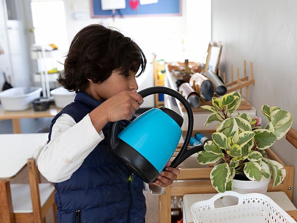 Montessori practical life activity &ndash; caring for plants