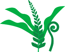 nurturing growth and new beginnings