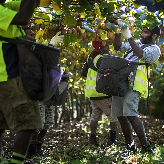 RSE workers on a Trinity Lands farm