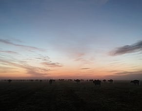 HubWatch &ndash; 5 February 2026