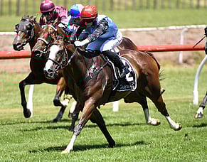 New Recruit wins fresh-up