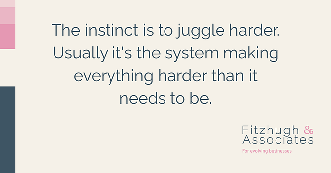 Quote about overwhelm and systems thinking from Fitzhugh & Associates