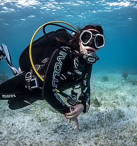 LEARN TO DIVE - Or refresh your skills