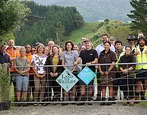 Project Parore &ndash; Caring for the Land, Restoring the Moana