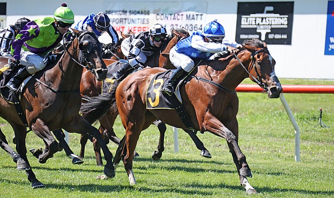 Nigella Lane winning the Listed Clubs NZ Wairarapa Thoroughbred Breeders&rsquo; Stakes (1600m) at Tauherenikau on Waitangi Day.   - Photo: Peter Rubery (Race Images)
