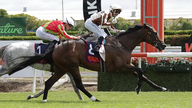 Opie Bosson celebrates after recording his 100th Group One win aboard Legarto in the Gr.1 Herbie Dyke Stakes (1400m) at Te Rapa on Saturday.   - Photo: Kenton Wright (Race Images)
