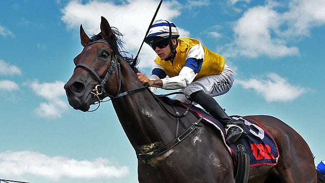 First Five winning the Gr.1 BCD Group Sprint (1400m) at Te Rapa on Saturday.   - Photo: Kenton Wright (Race Images)