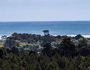 The Mistake Many First-Time Visitors Make