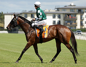 Outstanding Fillies Classic victory for Ohope Wins