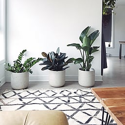 Project Delivery | Cardwell Inc Interior Design Auckland