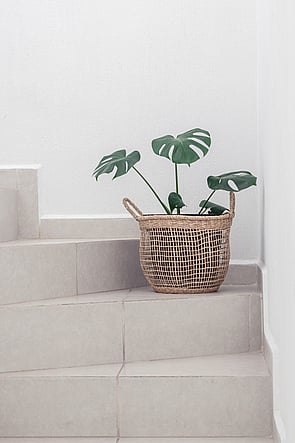 Cardwell Inc. Interior Design