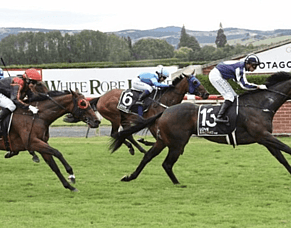 Witz End Breaks Through in Hazlett Stakes