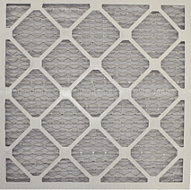 Phoenix GuardianR Pre-Filter