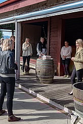 CRUISE SHIP EXCURSIONS