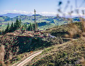 Vocational Training Consultation