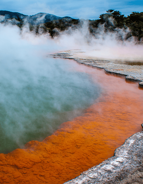 Day 4: Coromandel/Rotorua