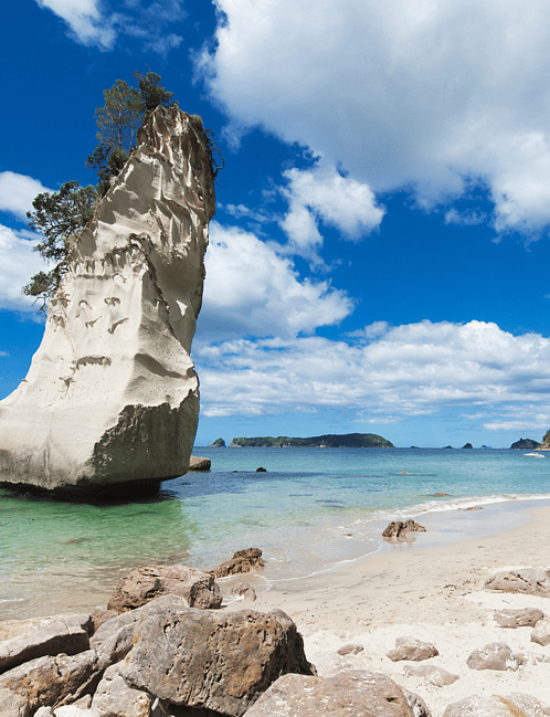 Day 3: Auckland/Coromandel (Puka Park)